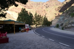 P1020733