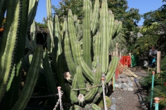 P1020741
