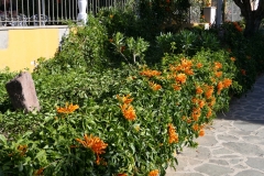 P1020765