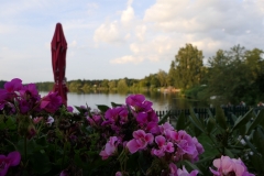 P1030242