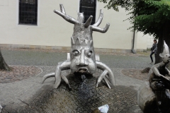 DSC07705