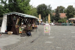 DSC07711