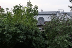 P1030352
