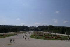 P1030419